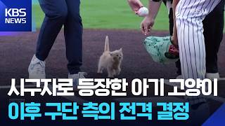 미국 야구에서 가장 귀여운 시구