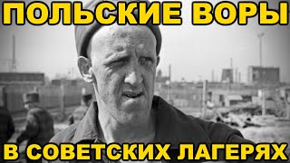 Кого называли польскими ворами в советских тюрьмах и лагерях