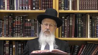 הגאון הרב אברהם יוסף שליט＂א מה הפירוש הראנו בבנינו ושמחנו בתקונו אב תשפ"ה (הערוץ של רבנים שונים) - התמונה מוצגת ישירות מתוך אתר האינטרנט יוטיוב. זכויות היוצרים בתמונה שייכות ליוצרה. קישור קרדיט למקור התוכן נמצא בתוך דף הסרטון