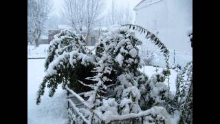 preview picture of video 'Nevicate a San Marco e Villanova di Ravenna febbraio 2012'