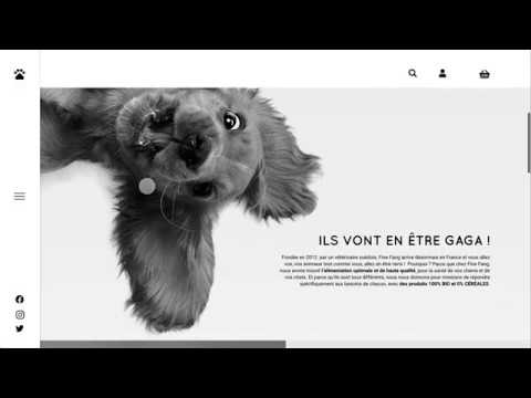 E-store Fine Fang - Design Sprint #5 à The Bridge Ecole Entreprise