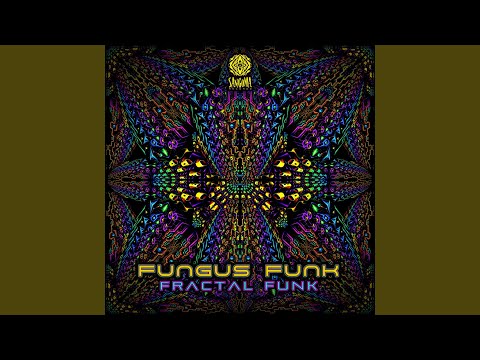 Fractal Funk