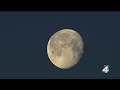The end of daylight saving can cause hallucinations, disorientation in Alzheimer’s patients. How...