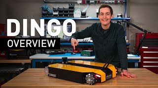 Meet DINGO | Indoor Mobile Robot for Research & Education