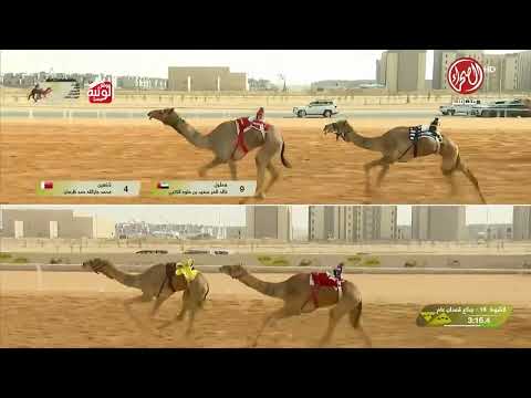 ش 16 (غزيلان) لـ محمد عتيق زيتون المهيري 9:28:34 , مهرجان خادم الحرمين 2026/1/28 ايذاع الجنادرية