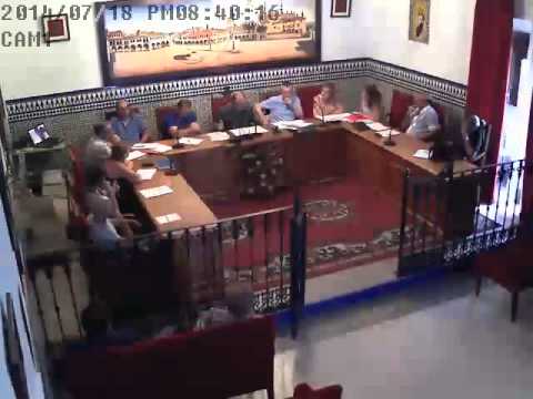 2014 Pleno ordinario de julio
