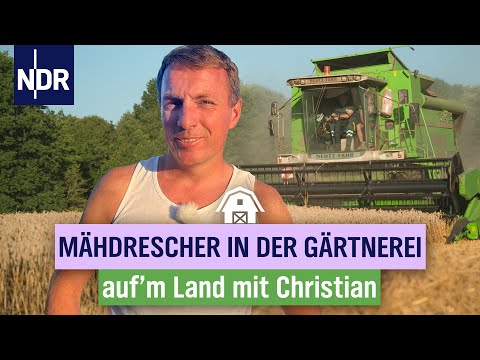 Weizenernte mit dem Lohnunternehmer | Folge 12 | NDR