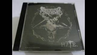 Funeral Inception - Back To The Womb