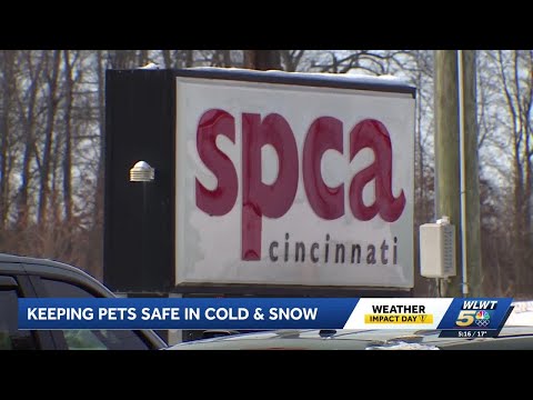 Cold weather challenging pet owners and shelters in Hamilton County - YouTube