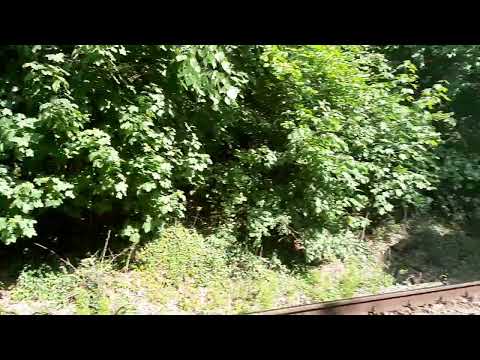 R 3076 Oradea - Cluj Napoca, cu automotor desiro. Mulțumesc mecanicului pentru salut!🚂🎺🎺