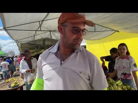 Feira livre São José da tapera Al