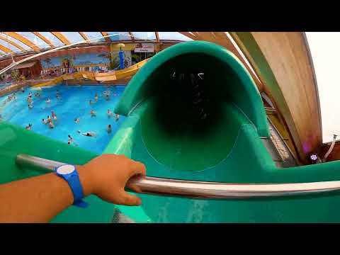 Crocodile, Miramar Waterpark 2022, Germany