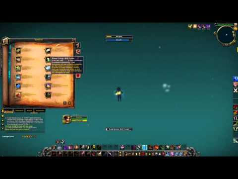 Drunklol - Leading a raid 101