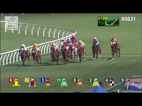 港經佬賽事重溫｜22-12-2021 谷草夜馬第七場賽事重溫 (277)｜戰熊三千 HERE COMES TED (C457)｜莫雷拉 J Moreira｜霍利時 D E Ferraris｜賽馬貼士