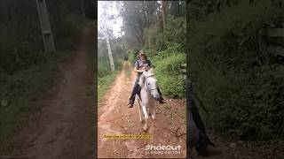 Por você que eu canto. rs