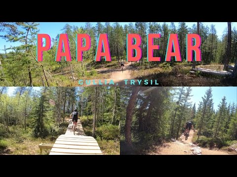 Papa Bear | Gullia, Trysil | GoPro Hero 9 | MTB