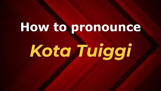 How to pronounce Kota Tuiggi