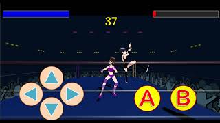 Fighting action game  "Fighting Girls"   Purple VS Black
