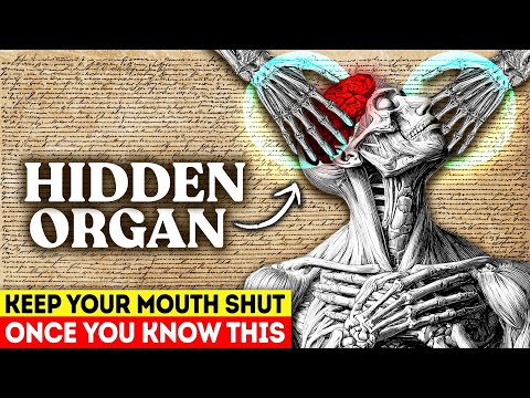 They Never Wanted You To Use THIS Organ: It Controls Your Reality (No BS Guide)