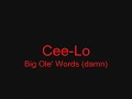 Cee  lo big ole words damn