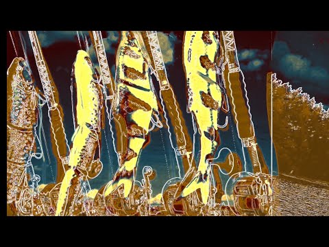 Suurhaukien uistelua isoilla kumeilla. Savagen lötköt vedossa.