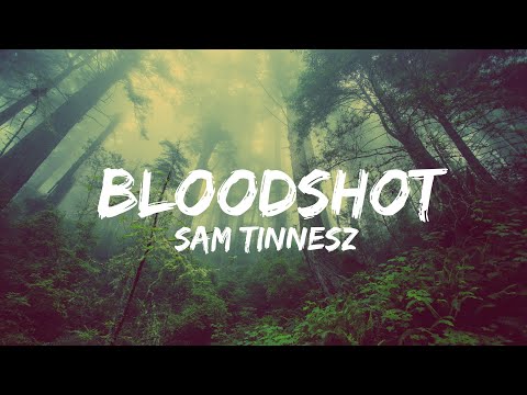 Sam Tinnesz - Bloodshot (Lyrics) (QHD)