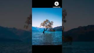 Download lagu ennulle ennulle song mp3 Download lagu ennulle ennulle song mp3