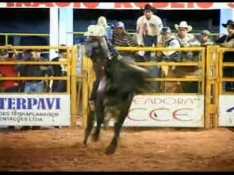 THIAGO ARANTES   - COMENTARISTA PROFISSIONAL