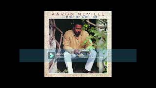 I Can't Change the Way You Don't Feel by Aaron Neville written by Diane Warren