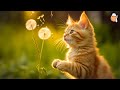 24/7 Healing Cat Music | Relaxing Piano Music for Cats with purring sounds | Sleepy Cat