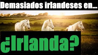 Demasiados Irlandeses en…Irlanda! (¿Plan Kalergi y Etnocidio Blanco?)