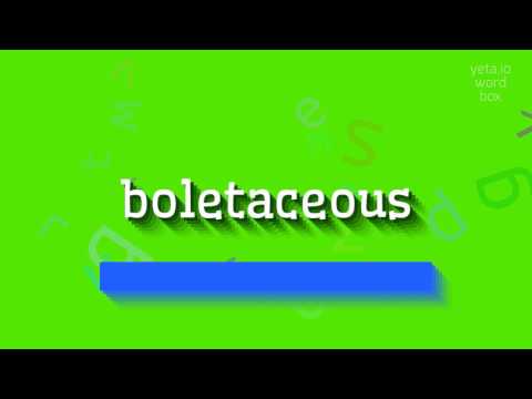 BOLETACEOUS - HOW TO PRONOUNCE IT? SAY BOLETACEOUS LIKE AN EXPERT: PRONUNCIATION #boletaceous