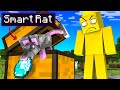 Every Way To Steal Diamonds In One Video