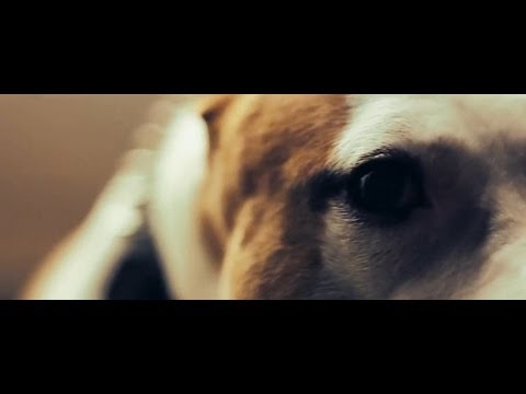 Video thumbnail for Ultima Notte
