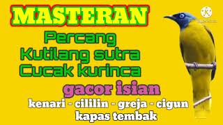 Download lagu Masteran Kutilang sutra [Cucak kurinca] gacor Isian kenari - cililin - greja - cigun - kapas tembak mp3