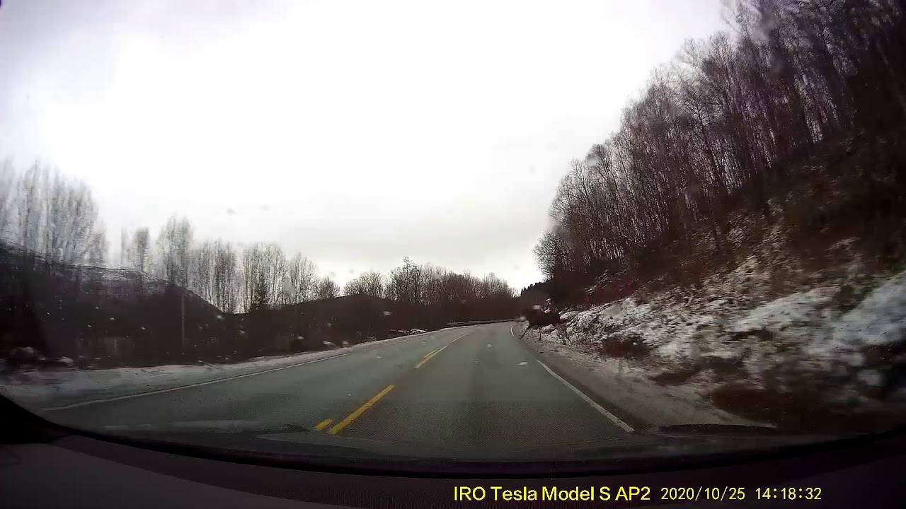 The Tesla Autopilot Syndrome "Why Didn't the Car Avoid the Crash for