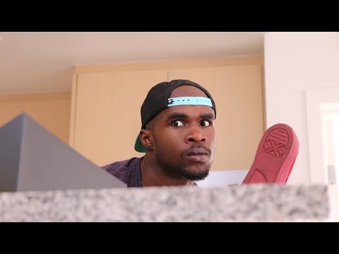 もしもゴキブリが話してくれたら (If Roaches Could Talk)