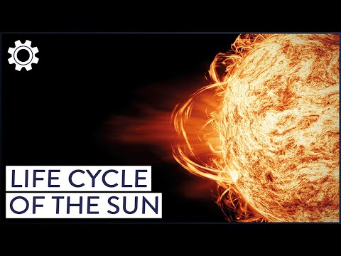 The Sun’s Life Cycle: From Seedling To Galactic Giant