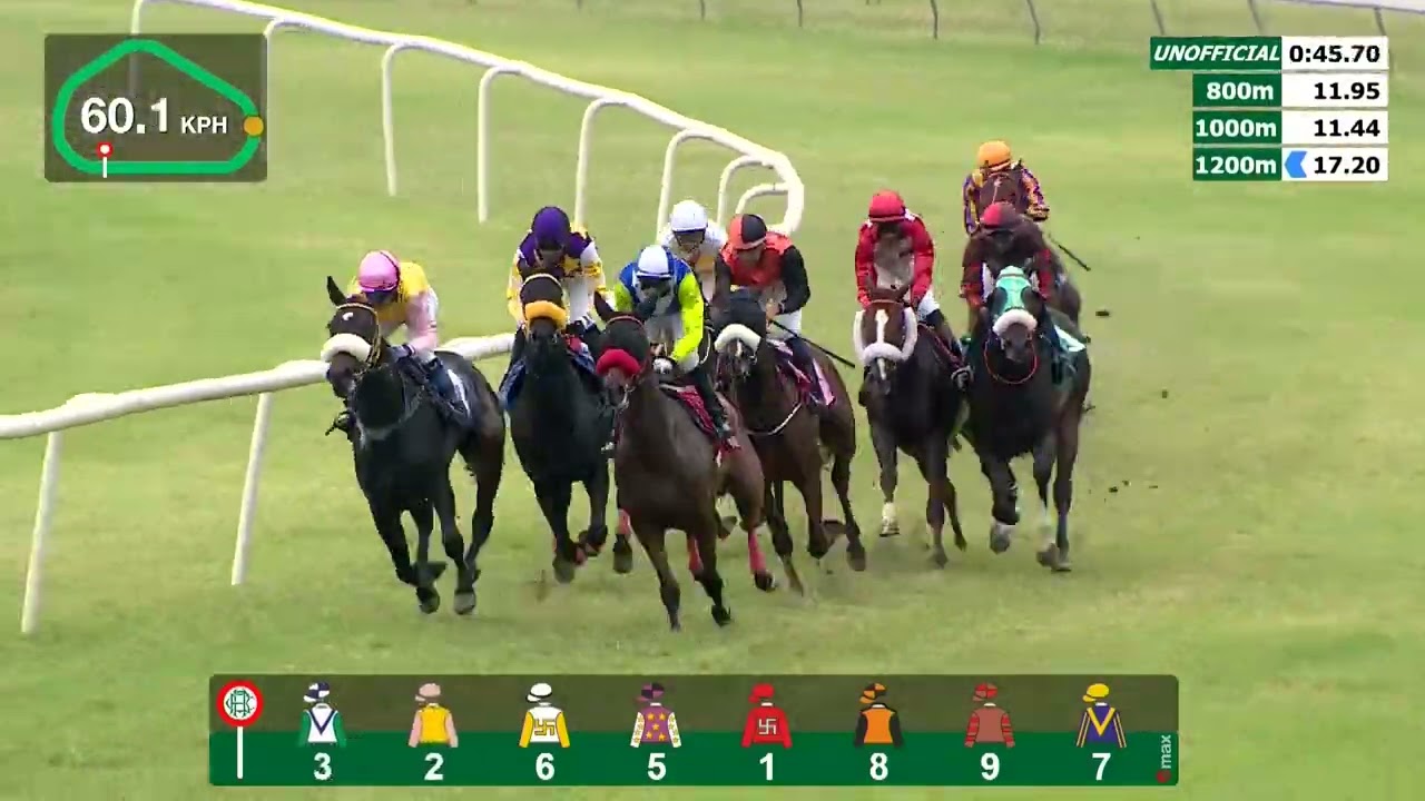 HRC Races 1st Dec 2024 Race 3