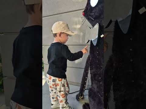 Neugieriges Kleinkind trifft die Halloween-Katze 🎃🐈‍⬛ | Tag 676