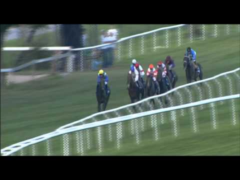 01.09.11 - 7. Rennen - Darley Oettingen-Rennen