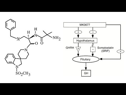 szelektív androgénreceptor modulátorok a fogyáshoz)