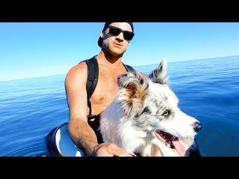 YBS Lifestyle Ep 12 - MEET MY DOG | Amazing Whale Encounter And Coral Jacuzzi