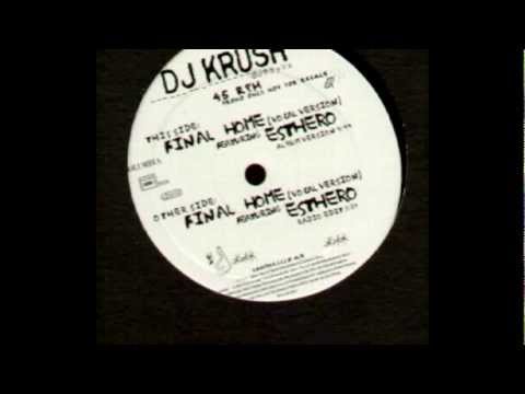 Dj Krush ft. Esthero - Final Home (DnB Remix)