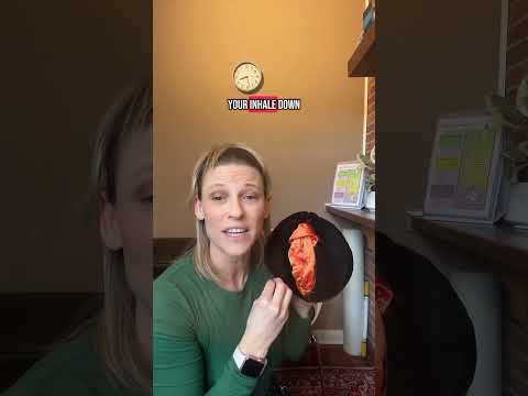 Top 3 exercises for bladder control #bladderproblems #bladder #overactivebladder #pelvicfloor