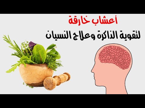 أعشاب خارقة لتقوية الذاكرة وعلاج النسيان