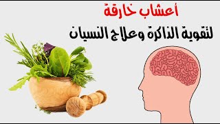 أعشاب خارقة لتقوية الذاكرة وعلاج النسيان أعشاب خارقة لتقوية الذاكرة وعلاج النسيان