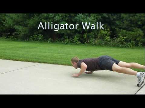 Alligator Walk.mpg