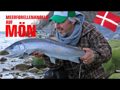 Meerforellenangeln in Dänemark auf Mön