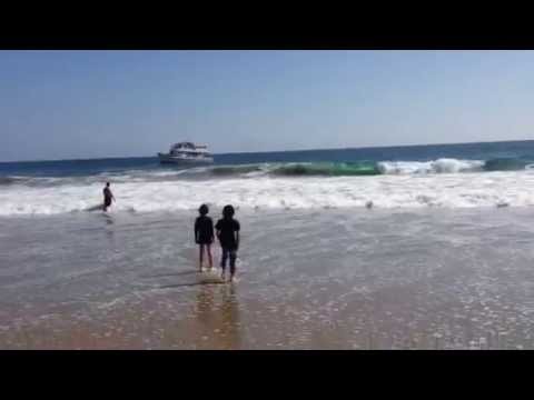 Ballena en la playa de Newport Beach